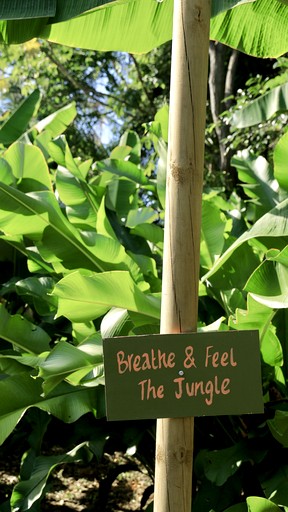 Bell Tents (Colombia, Santa Marta, Magdalena)