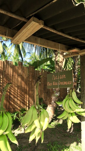 Bell Tents (Colombia, Santa Marta, Magdalena)