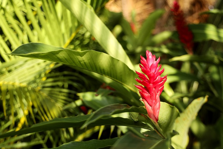 Bell Tents (Colombia, Santa Marta, Magdalena)