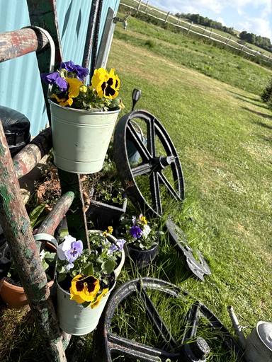 Huts (United Kingdom, Chichester, England)