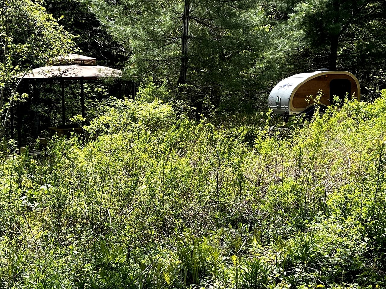 Unique Tiny Teardrop Camper for a Cozy Romantic Getaway in the Forest by the River in Jacksonville, Vermont