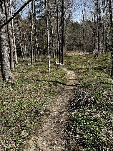 Vacation Rentals (United States of America, Jacksonville, Vermont)