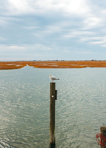 Floating Homes (United States of America, Seaford, New York)