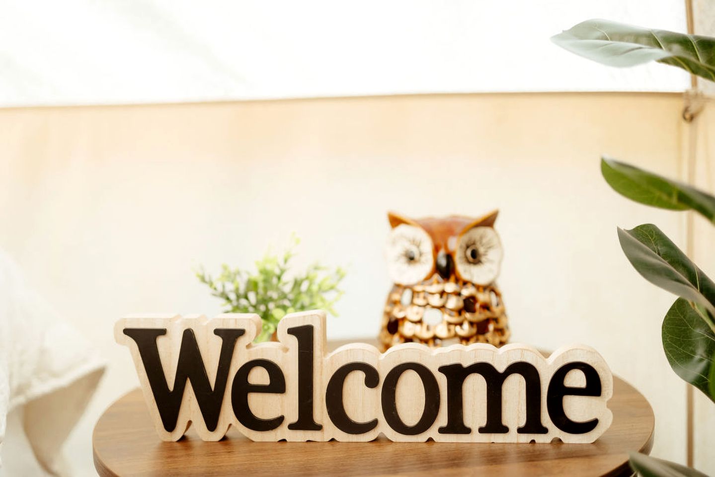 Gorgeous Bell Tent for a Romantic Glamping Escape Surrounded by Nature in Silver Point, Tennessee