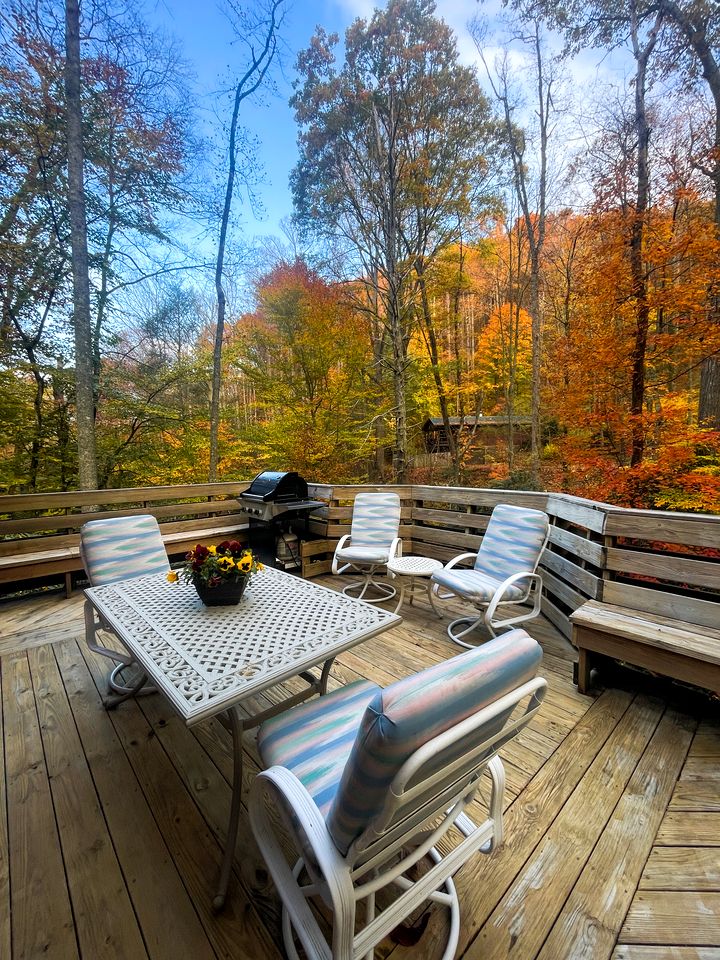 Cozy Rustic Cabin Nestled in the Scenic Reems Creek Valley for a Peaceful Mountain Escape Surrounded by Nature near the Pisgah National Forest in NC