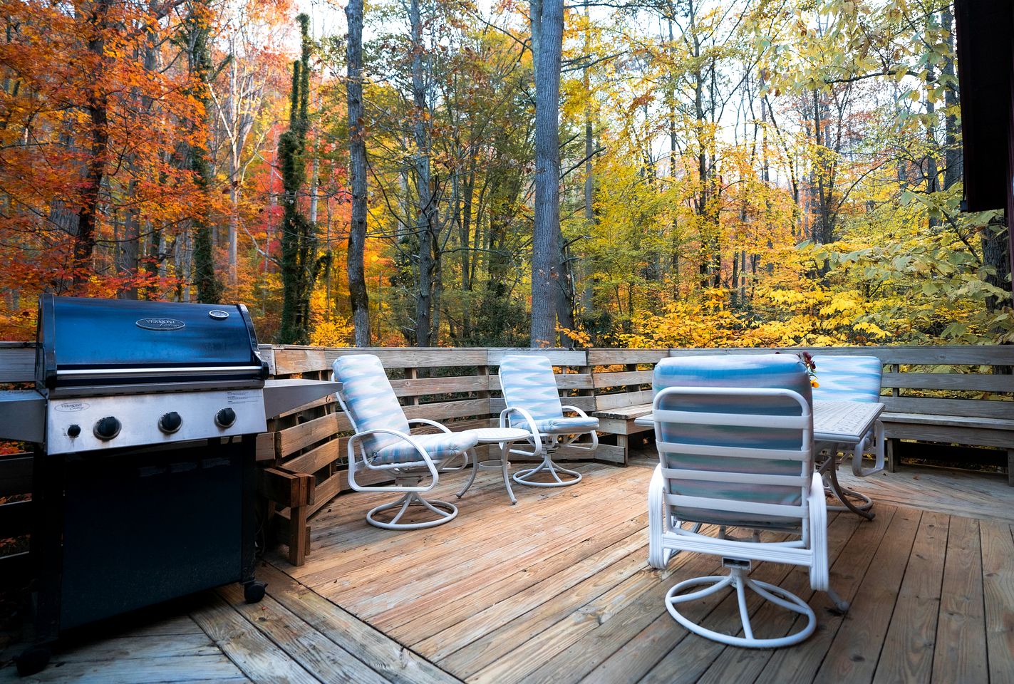 Cozy Rustic Cabin Nestled in the Scenic Reems Creek Valley for a Peaceful Mountain Escape Surrounded by Nature near the Pisgah National Forest in NC