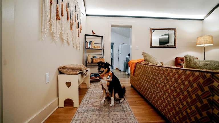 Cabins (United States of America, Weaverville, North Carolina)