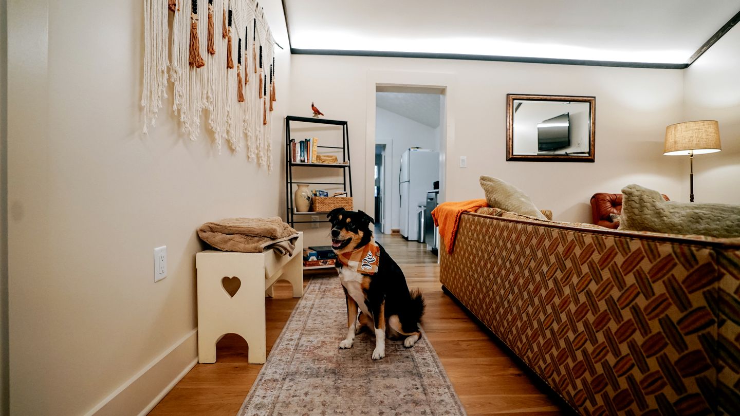 Cozy Rustic Cabin Nestled in the Scenic Reems Creek Valley for a Peaceful Mountain Escape Surrounded by Nature near the Pisgah National Forest in NC