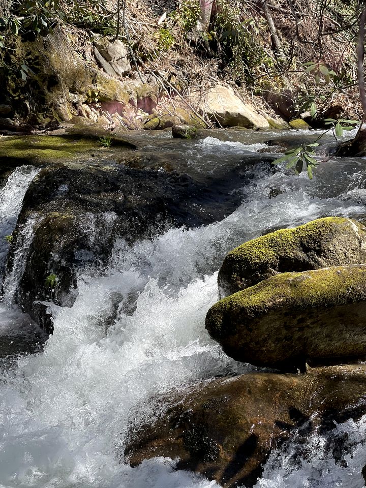 Cozy Rustic Cabin Nestled in the Scenic Reems Creek Valley for a Peaceful Mountain Escape Surrounded by Nature near the Pisgah National Forest in NC