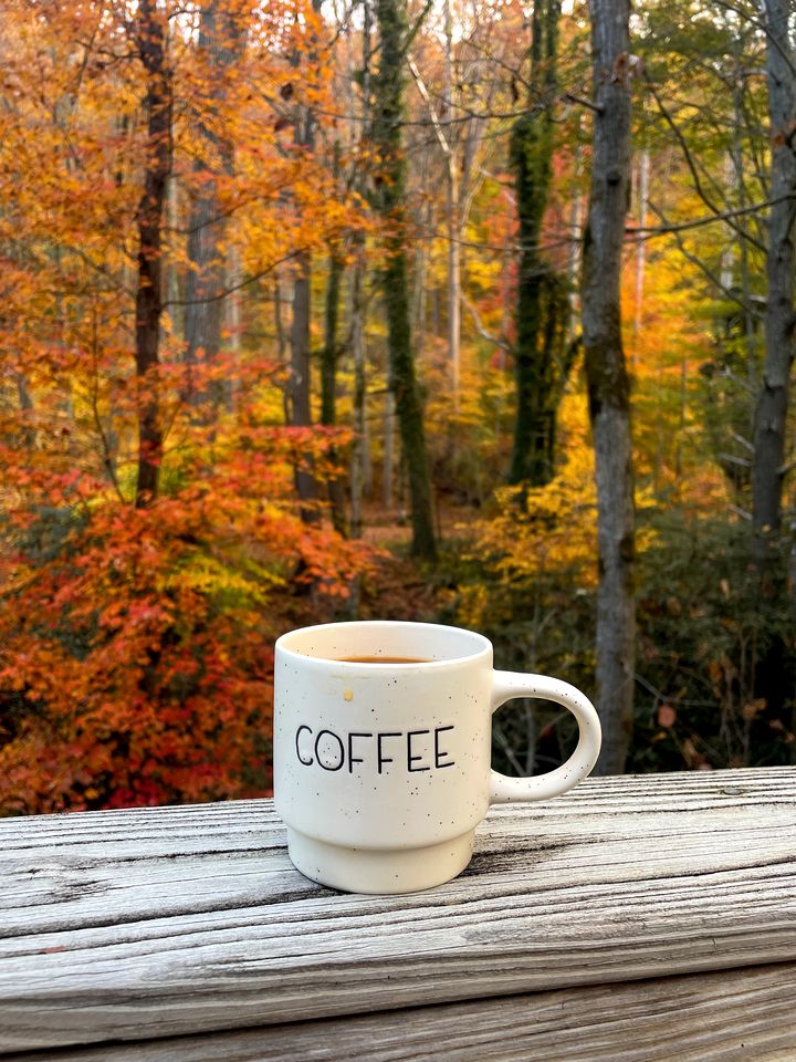 Cozy Rustic Cabin Nestled in the Scenic Reems Creek Valley for a Peaceful Mountain Escape Surrounded by Nature near the Pisgah National Forest in NC