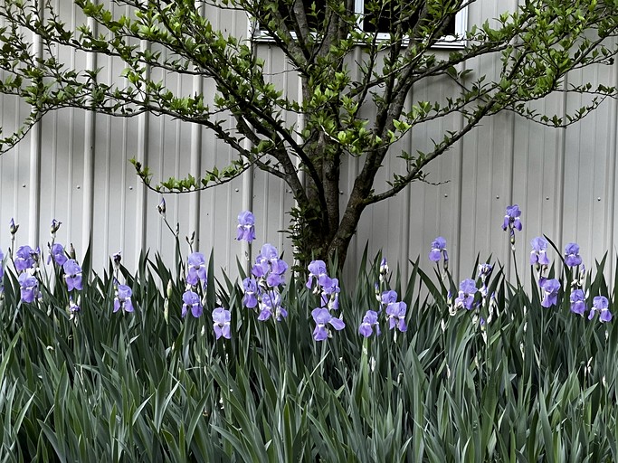 Vacation Rentals (United States of America, Warriors Mark, Pennsylvania)