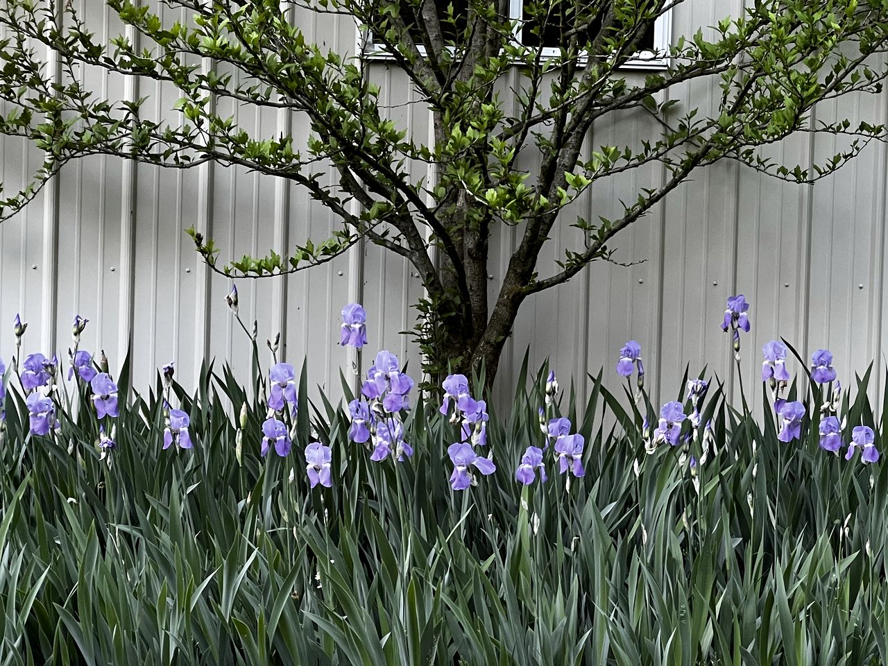 Inviting Bed and Breakfast Suite Close to Penn State Univ.