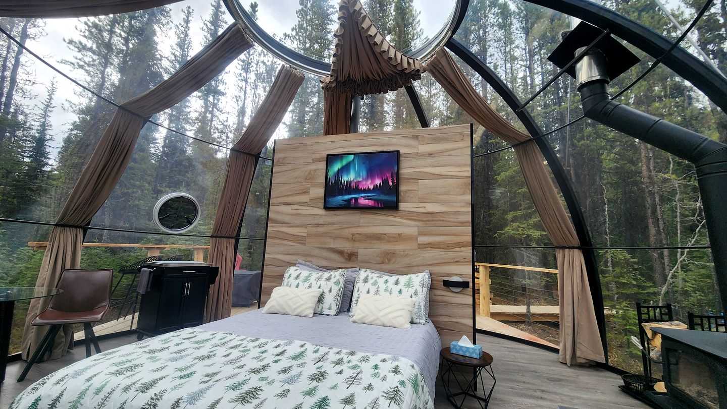 Unique Clear Dome Surrounded by Trees for a Memorable Glamping Experience in Rock Lake Provincial Park, Alberta