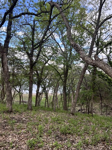 Bell Tents (United States of America, Manhattan, Kansas)