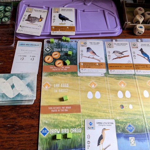 Cabins (United States of America, South Royalton, Vermont)