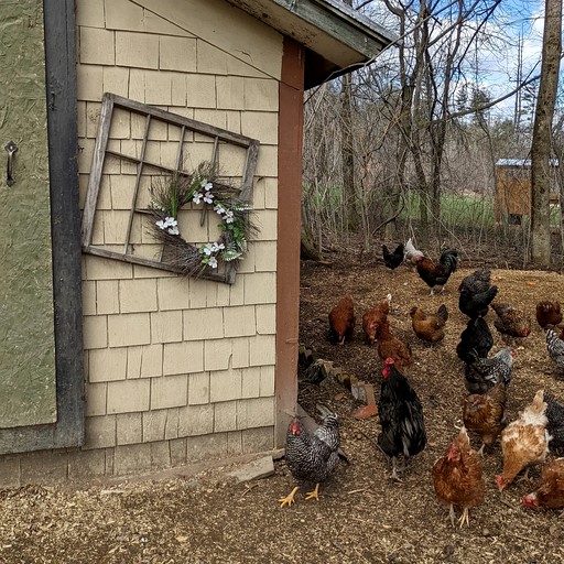 Cabins (United States of America, South Royalton, Vermont)
