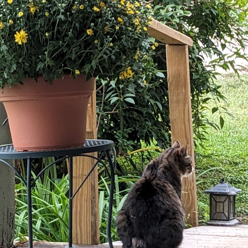 Historic Converted Concrib Glamping Cabin in the Heart of Vermont, Perfect for a Weekend Retreat in Nature