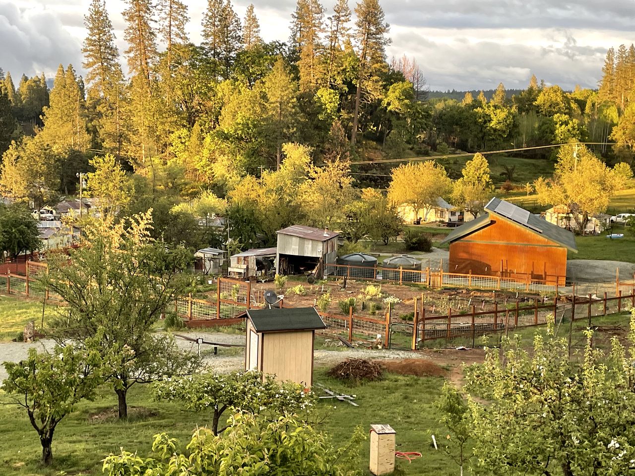 Cozy Yurt on a Hilltop Camping Compground for a Unique Glamping Getaway in North San Juan, California