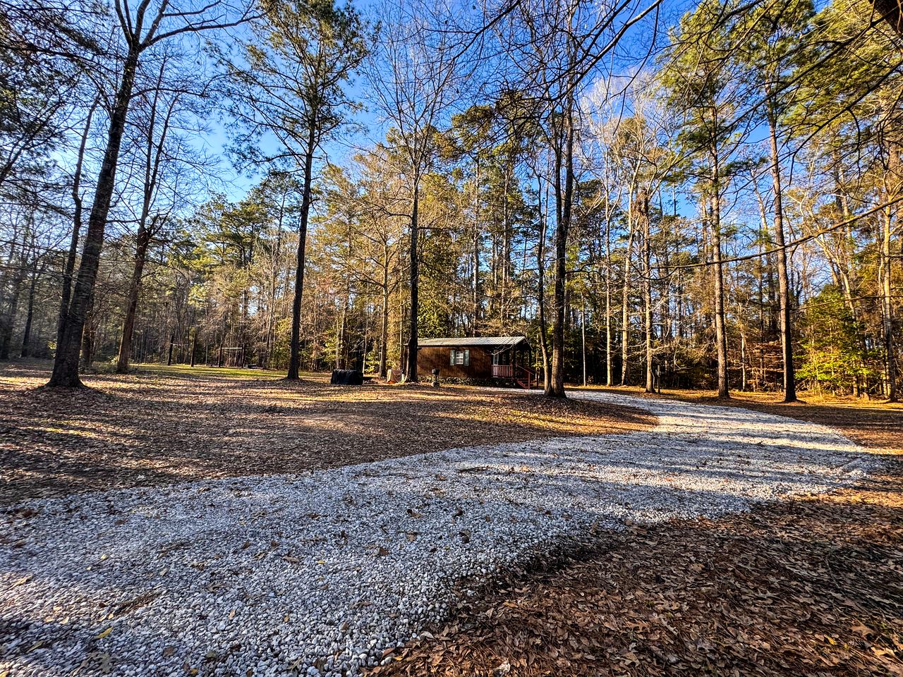 Cozy Secluded Cabin Bordered by Kisatchie National Forest for a Relaxing Retreat in Nature in Glenmora, Louisiana