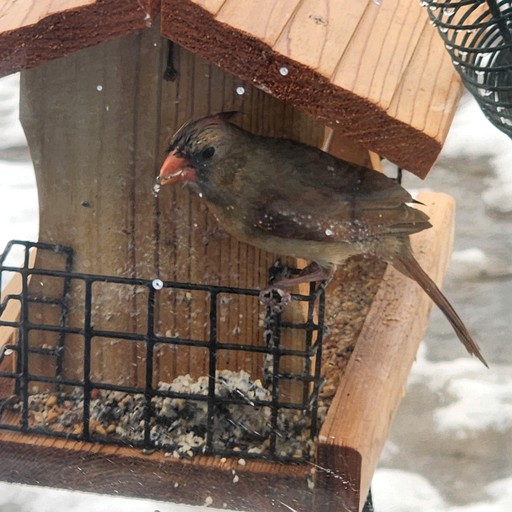 Domes (Canada, --, Ontario)