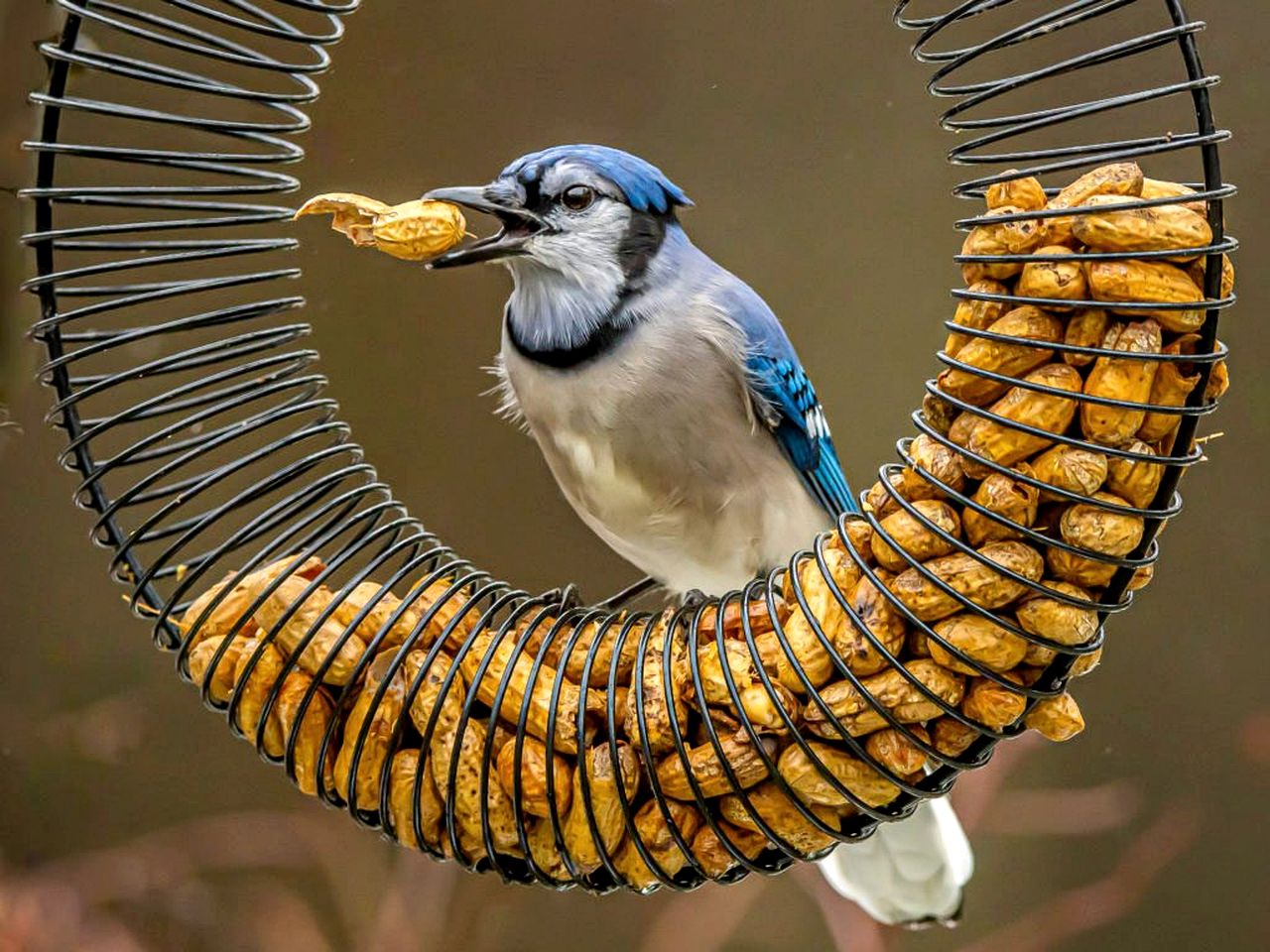 Incredible Glass Dome for a Unique Romantic Getaway in Nature in Zephyr, Ontario