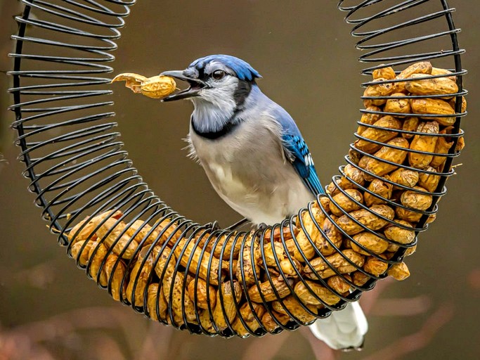 Domes (Canada, --, Ontario)