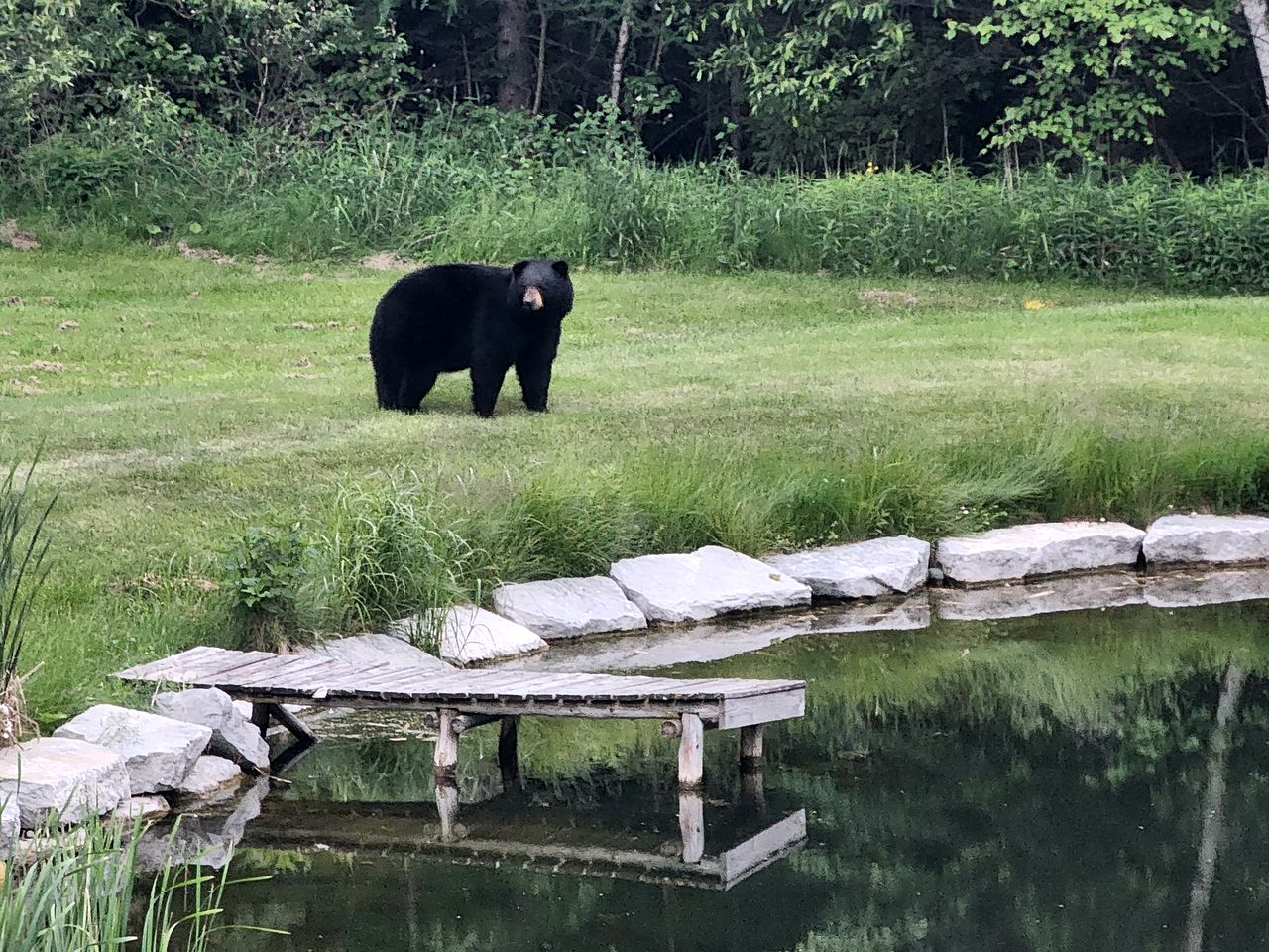 Incredible Glass Dome for a Unique Romantic Getaway in Nature in Zephyr, Ontario