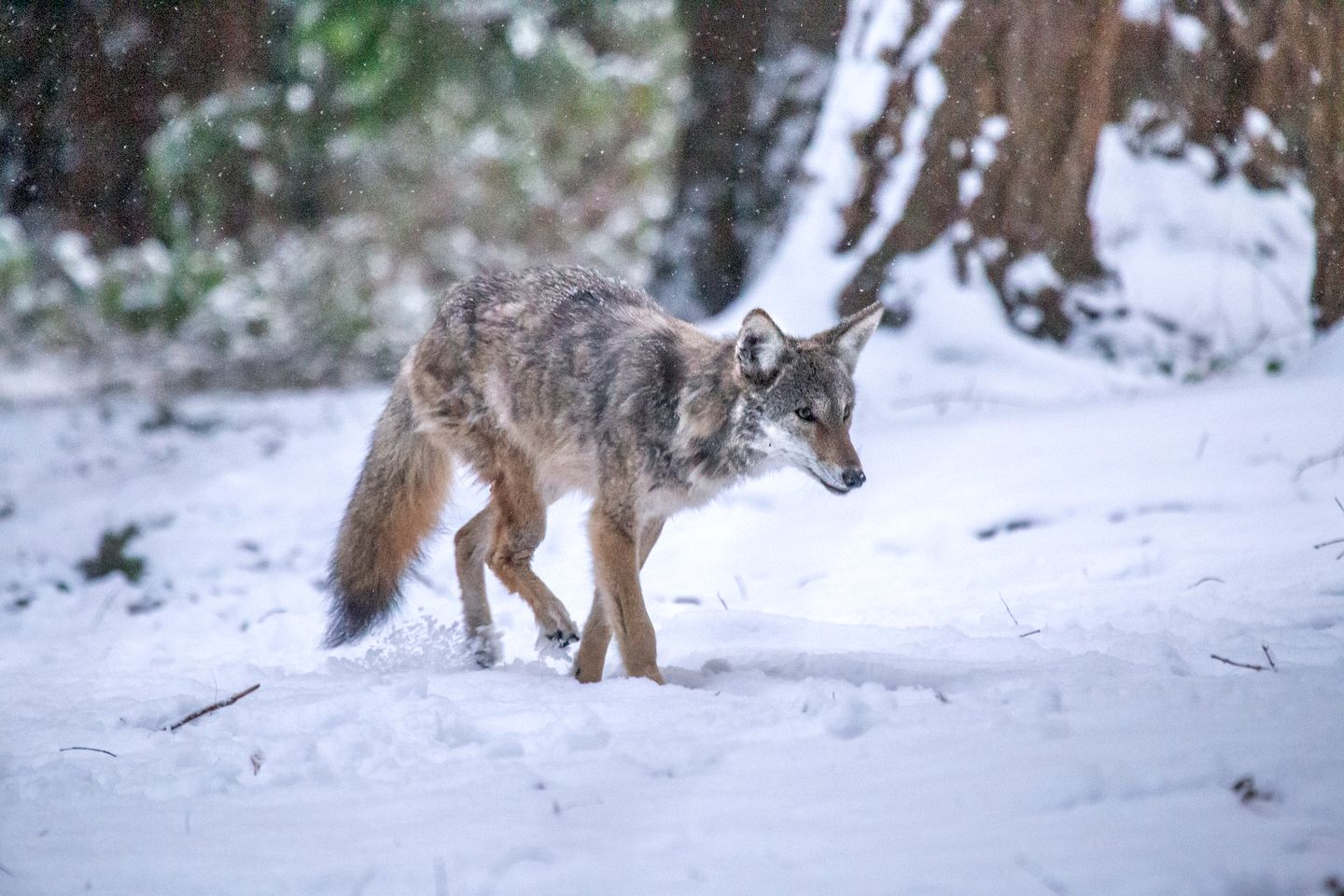 Incredible Glass Dome for a Unique Romantic Getaway in Nature in Zephyr, Ontario