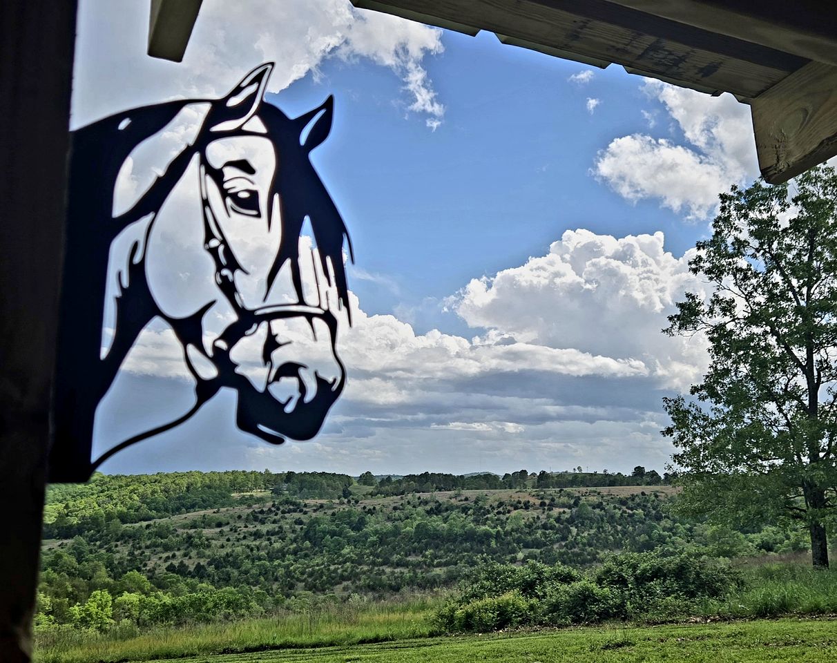 Gorgeous Container for a Romantic Getaway on a Ranch with Incredible Views in Gainesville, Missouri