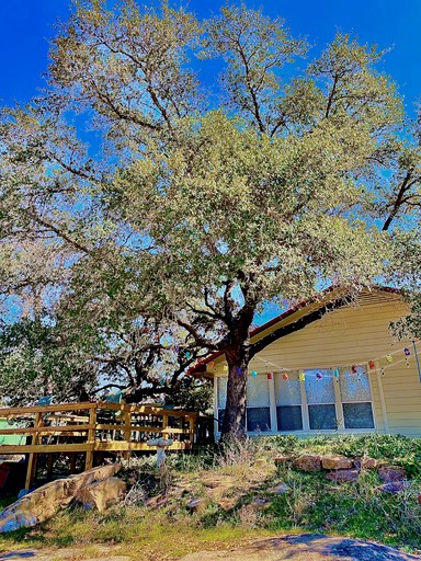 Vacation Rentals (United States of America, Llano, Texas)