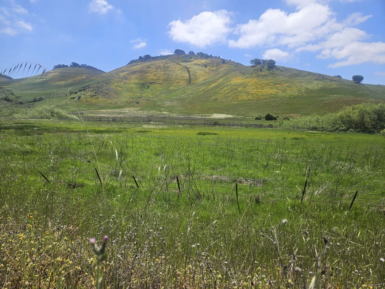 Sunny Retro VW Vanagon Glamping on Working Ranch near Napa & San Francisco, California