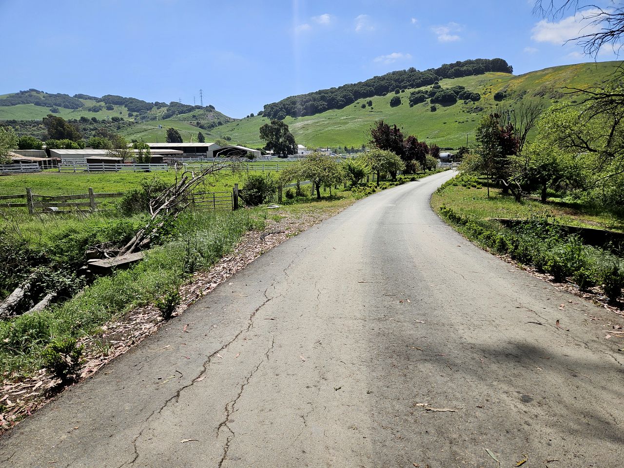 Sunny Retro VW Vanagon Glamping on Working Ranch near Napa & San Francisco, California