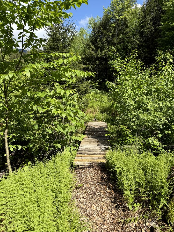 Beautiful Cozy Bell Tent with Direct Access to Mountain Bike Trails for an Amazing Couples Glamping Experience in Stowe, Vermont