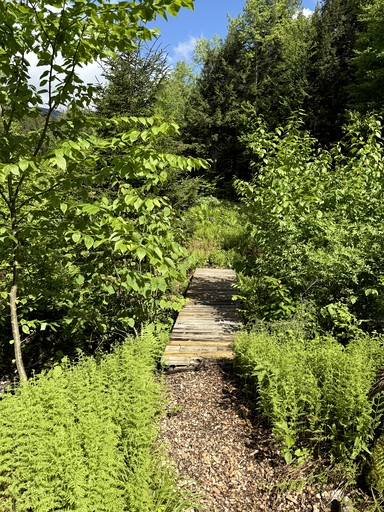 Bell Tents (United States of America, Stowe, Vermont)