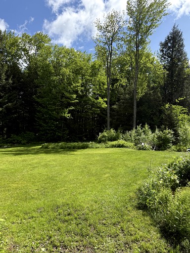 Bell Tents (United States of America, Stowe, Vermont)