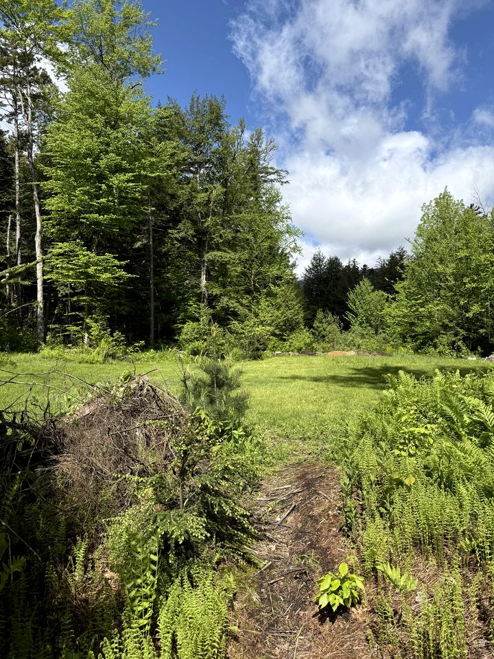 Beautiful Cozy Bell Tent with Direct Access to Mountain Bike Trails for an Amazing Couples Glamping Experience in Stowe, Vermont