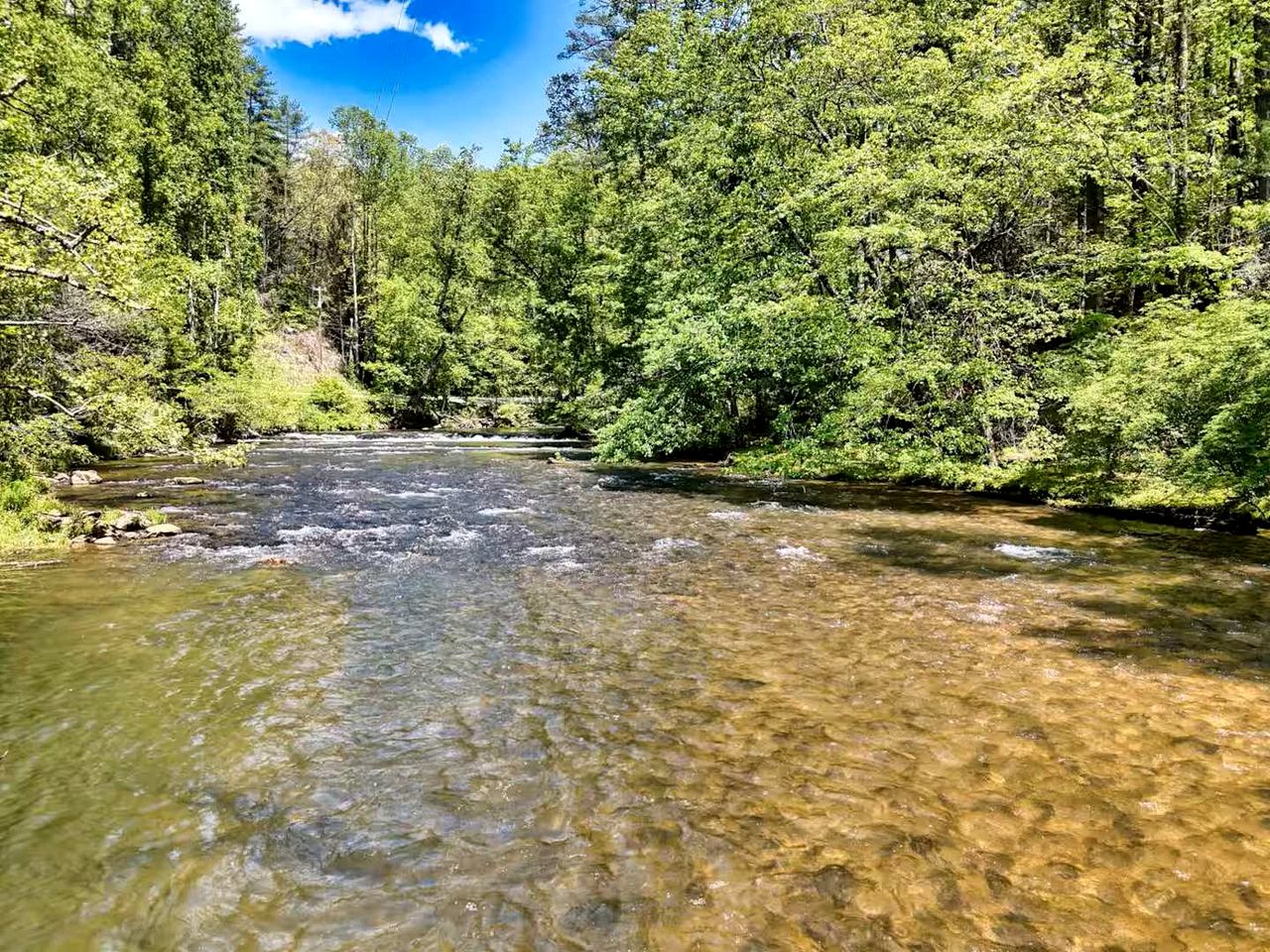 Cozy Cabin with Direct Access to the Toccoa River, a Perfect Escape for Fishing Lovers in Suches, Georgia