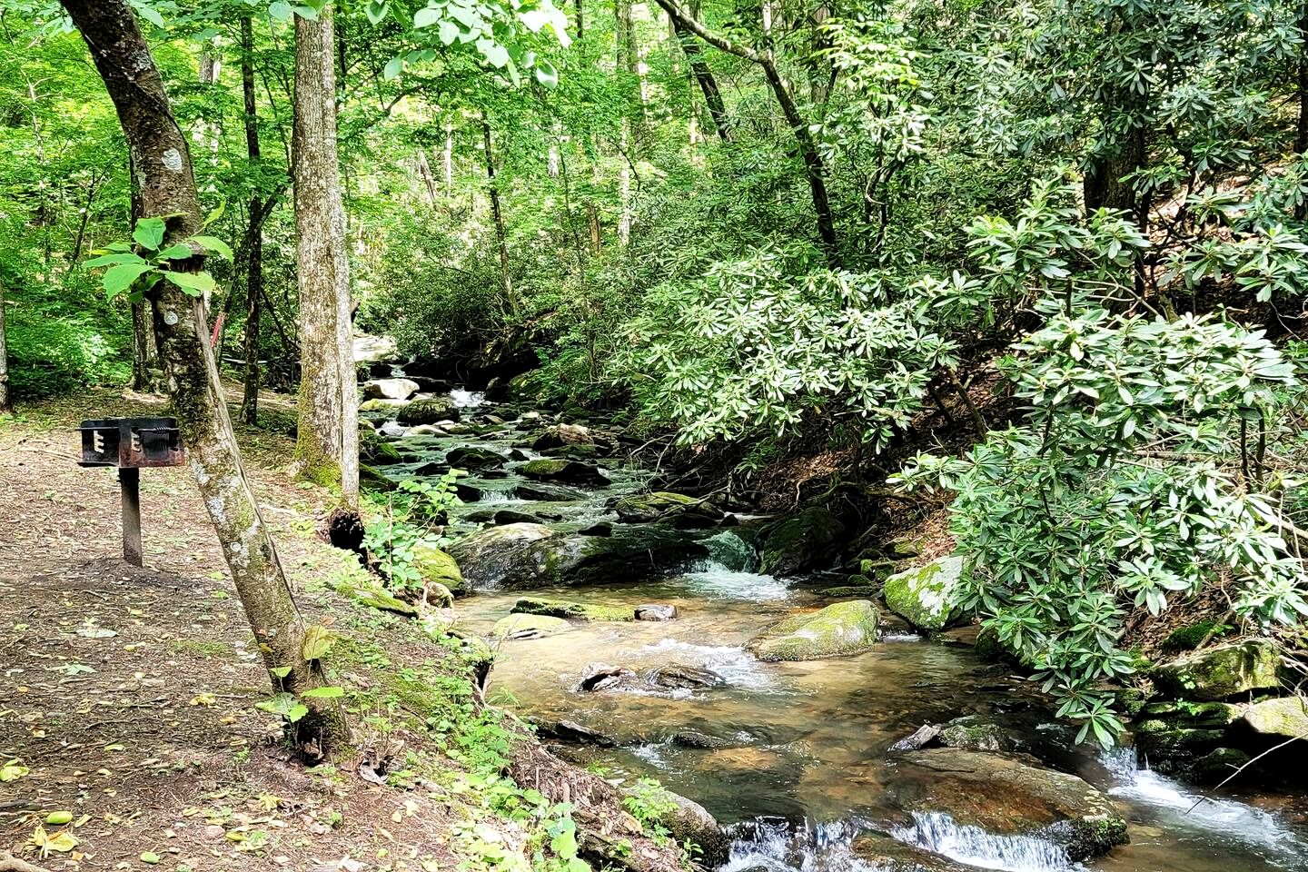 Secluded Cabin on Suches Creek and in the National Forest for a Relaxing Georgia Getaway