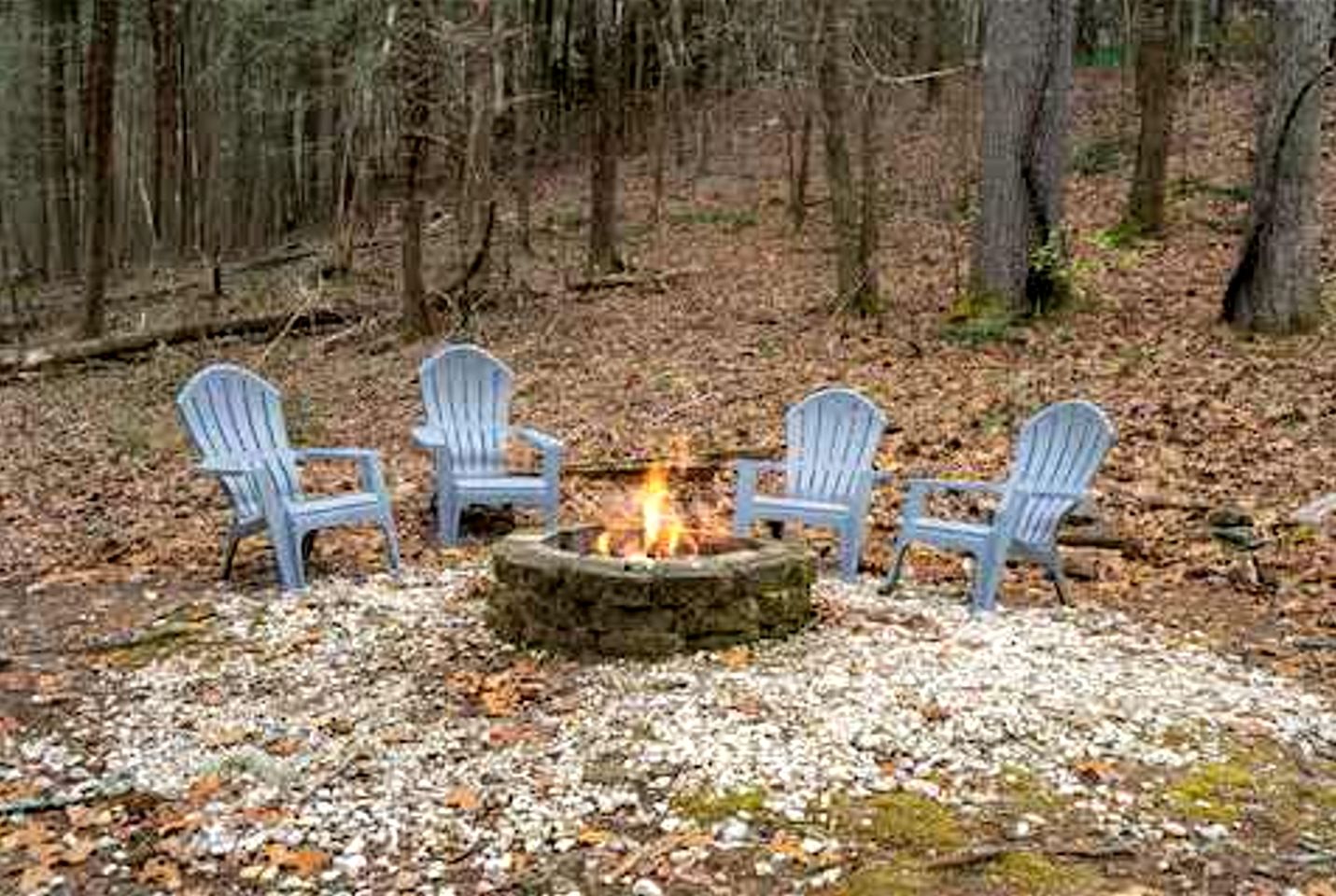 Charming Cabin Nestled in the Forest near the Toccoa River in Suches, Georgia