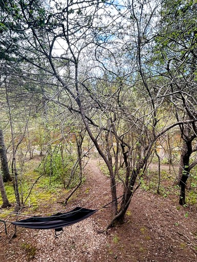 Tree Houses (Canada, Cocagne, New Brunswick)