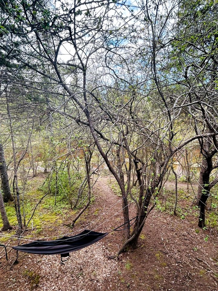 Cozy Tree House for a Unique Stay in Nature near Cocagne in New Brunswick