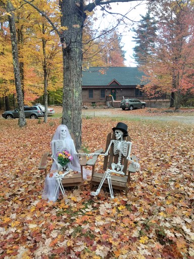 Safari Tents (United States of America, Johnsburg, New York)