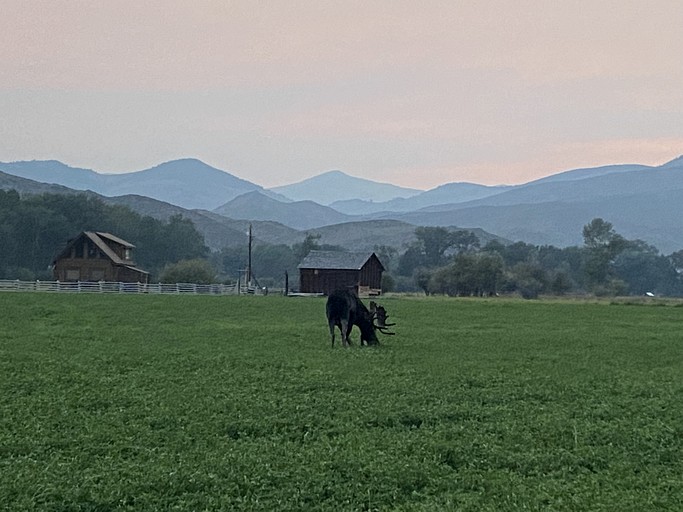 Barns (United States of America, --, Montana)