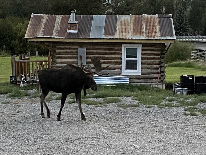 Barns (United States of America, --, Montana)