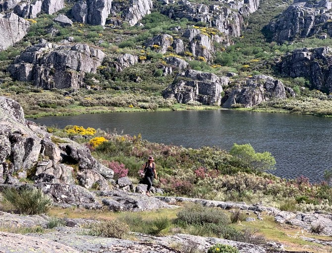 Bell Tents (Portugal, Lourosa, Coimbra District)
