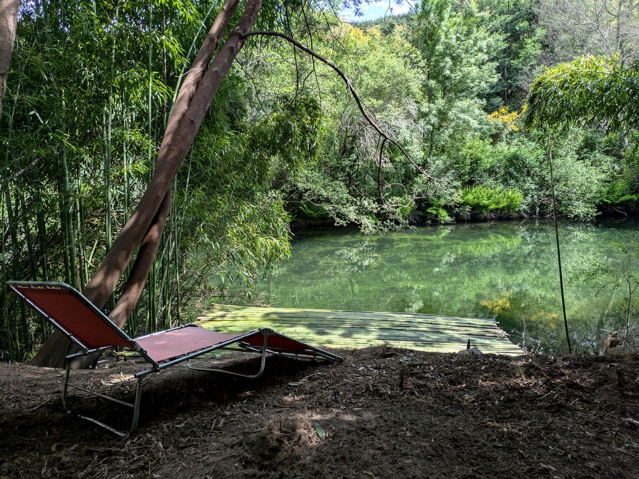 Secluded Bell Tent Surrounded by Nature for a Peaceful Romantic Escape in Coimbra District, Portugal
