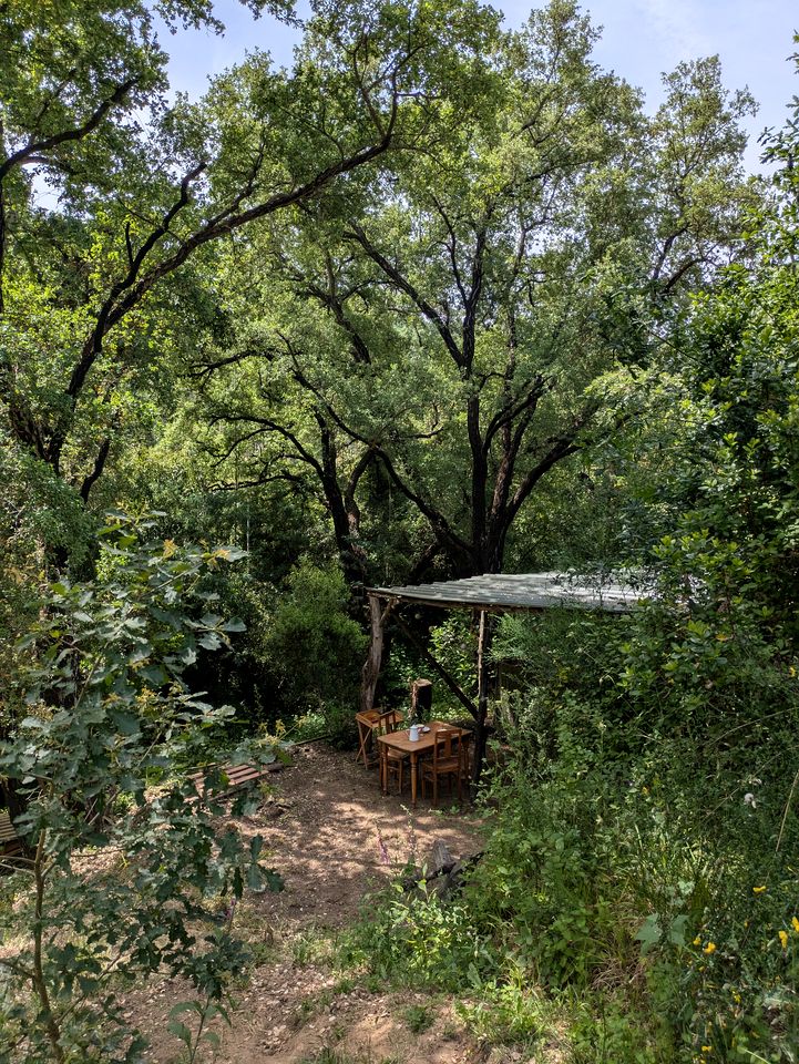 Secluded Bell Tent Surrounded by Nature for a Peaceful Romantic Escape in Coimbra District, Portugal