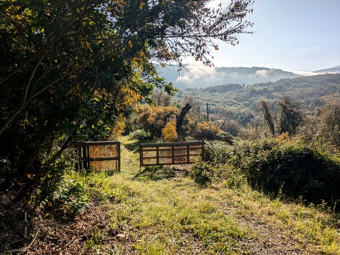 Bell Tents (Portugal, Lourosa, Coimbra District)