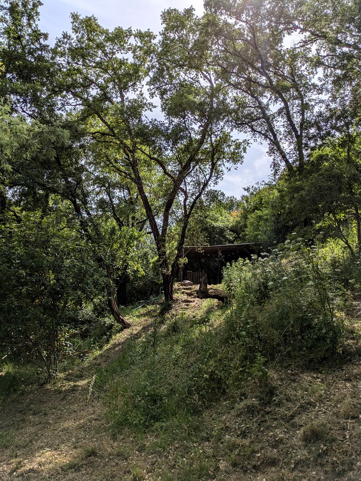 Secluded Bell Tent Surrounded by Nature for a Peaceful Romantic Escape in Coimbra District, Portugal