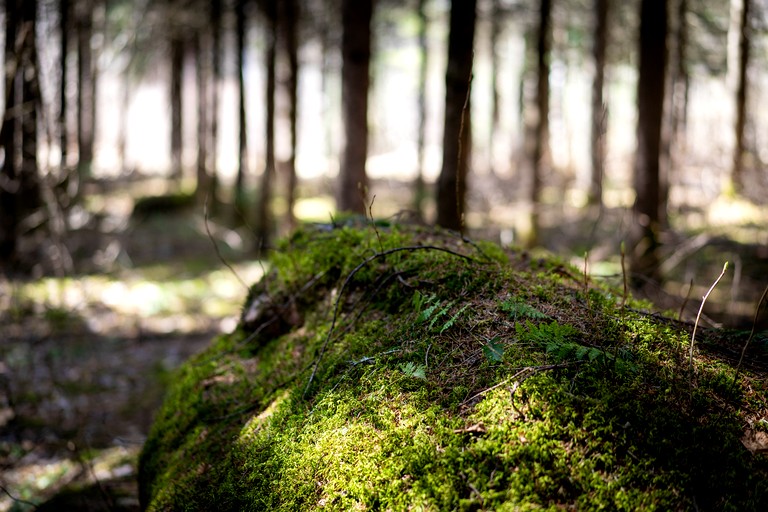 Yurts (Canada, --, --)